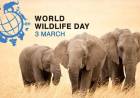 Why do we celebrate World Wildlife Day : History , Theme of 2022