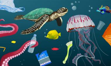 Plastic waste pollution | Affect | Climate Change