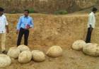 'Dinosaur eggs' found in Tamil Nadu