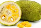 From Spiky Shell to Health Boost: Jackfruit Facts & Benefits