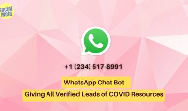 Everything About WhatsApp Chat Bot Which Is Giving Verified Leads About COVID 19 Resources Across India