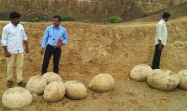 'Dinosaur eggs' found in Tamil Nadu