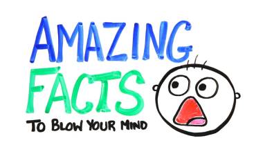 Unveiling 10 Incredible Facts That Will Surprise You!