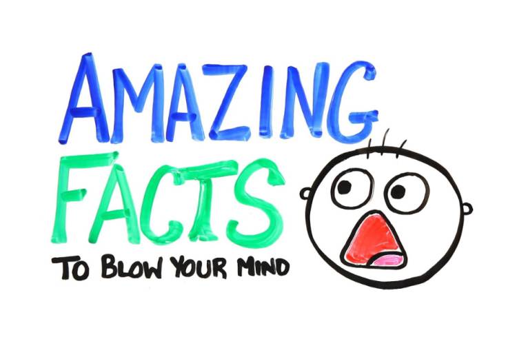 Unveiling 10 Incredible Facts That Will Surprise You!